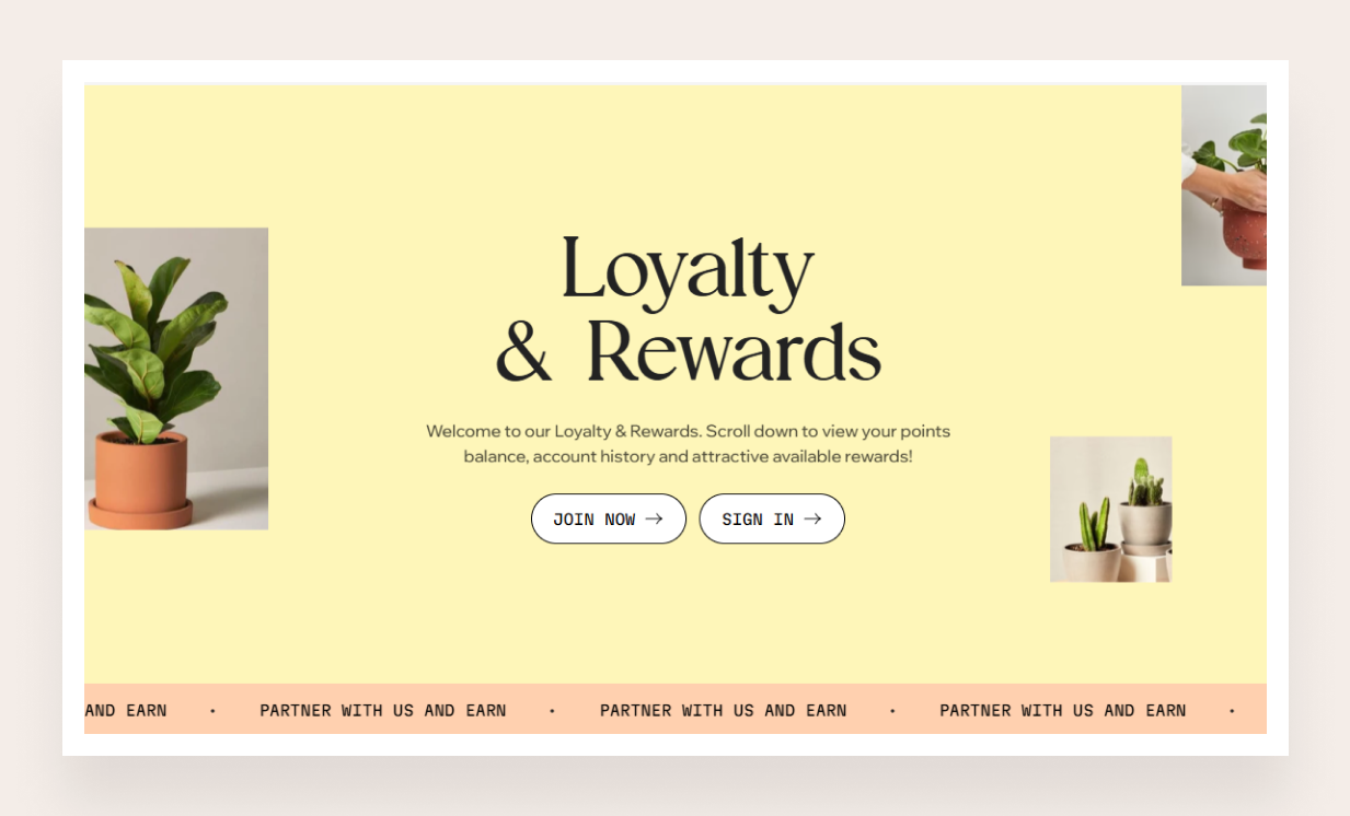 Pure Shape Foxify template