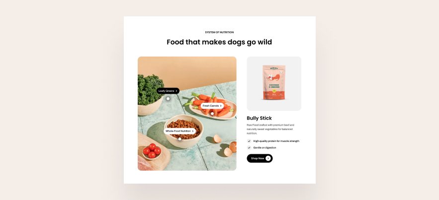 Shop the look