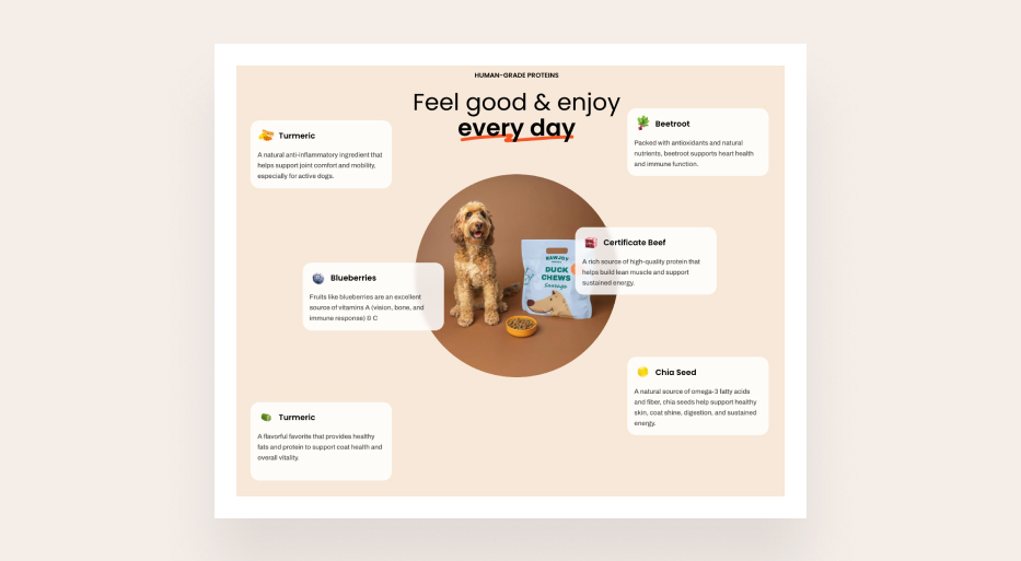 Product highlight points