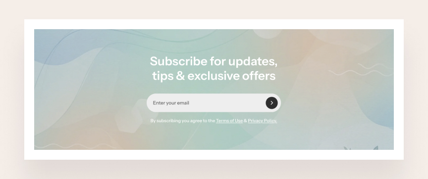 Background media setting for the Newsletters section
